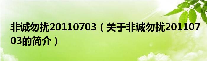 非誠(chéng)勿擾20110703（關(guān)于非誠(chéng)勿擾20110703的簡(jiǎn)介）