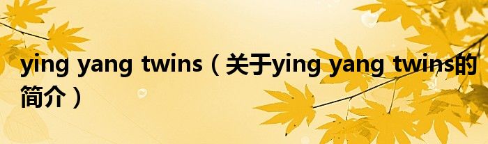 ying yang twins（關(guān)于ying yang twins的簡(jiǎn)介）