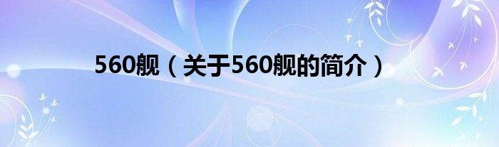 560艦（關(guān)于560艦的簡(jiǎn)介）