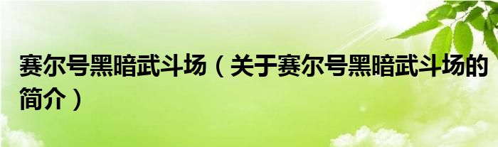 賽爾號黑暗武斗場（關于賽爾號黑暗武斗場的簡介）