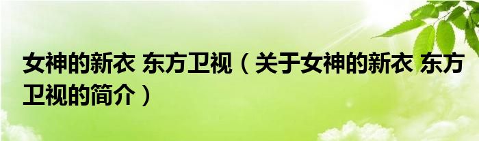 女神的新衣 東方衛(wèi)視（關(guān)于女神的新衣 東方衛(wèi)視的簡(jiǎn)介）