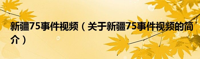 新疆75事件視頻（關于新疆75事件視頻的簡介）