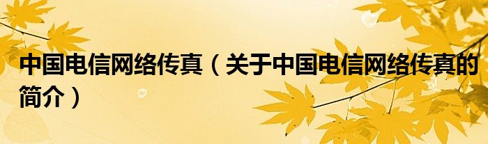 中國電信網(wǎng)絡(luò)傳真（關(guān)于中國電信網(wǎng)絡(luò)傳真的簡介）