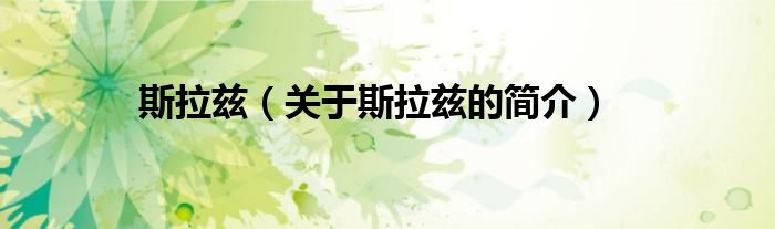 斯拉茲（關(guān)于斯拉茲的簡(jiǎn)介）