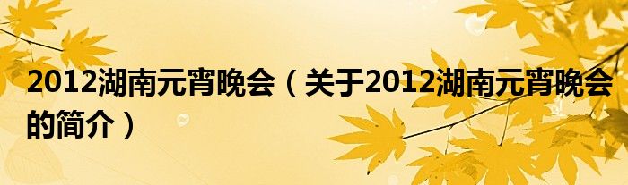 2012湖南元宵晚會(huì)（關(guān)于2012湖南元宵晚會(huì)的簡介）