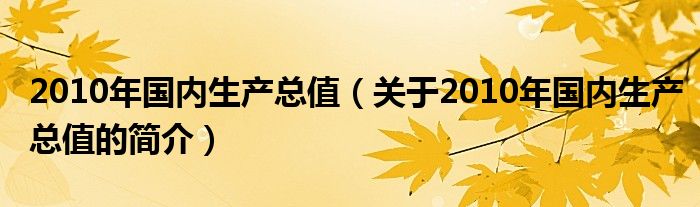 2010年國內(nèi)生產(chǎn)總值（關(guān)于2010年國內(nèi)生產(chǎn)總值的簡介）