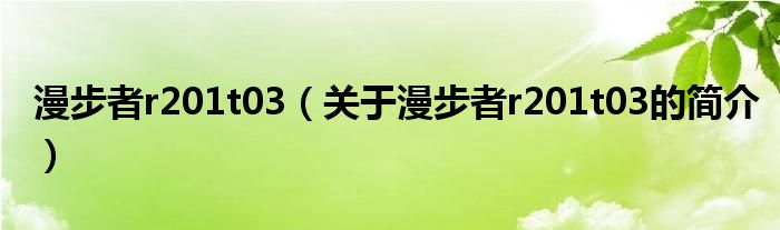 漫步者r201t03（關于漫步者r201t03的簡介）