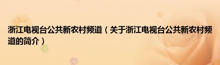 浙江電視臺公共新農(nóng)村頻道（關于浙江電視臺公共新農(nóng)村頻道的簡介）