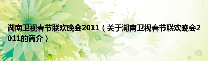 湖南衛(wèi)視春節(jié)聯(lián)歡晚會2011（關(guān)于湖南衛(wèi)視春節(jié)聯(lián)歡晚會2011的簡介）