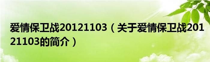 愛情保衛(wèi)戰(zhàn)20121103（關(guān)于愛情保衛(wèi)戰(zhàn)20121103的簡介）