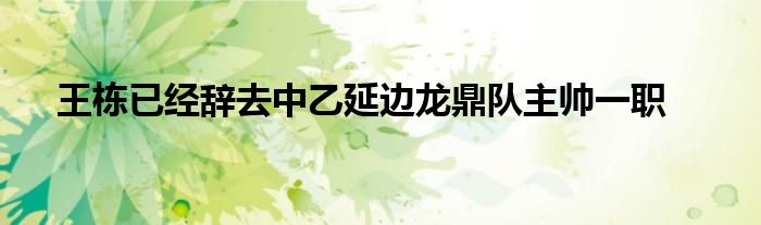 王棟已經(jīng)辭去中乙延邊龍鼎隊主帥一職