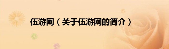 伍游網(wǎng)（關(guān)于伍游網(wǎng)的簡(jiǎn)介）