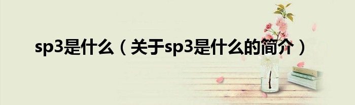 sp3是什么（關于sp3是什么的簡介）