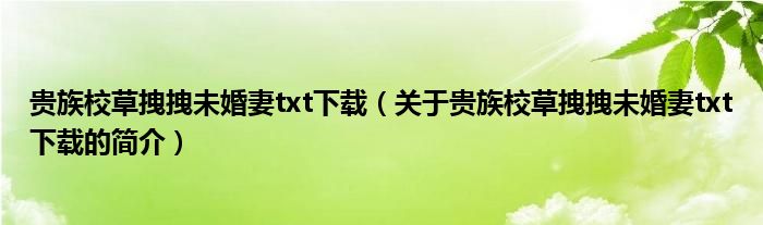 貴族校草拽拽未婚妻txt下載（關(guān)于貴族校草拽拽未婚妻txt下載的簡(jiǎn)介）