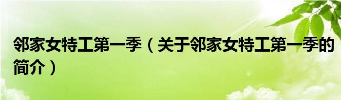 鄰家女特工第一季（關(guān)于鄰家女特工第一季的簡(jiǎn)介）