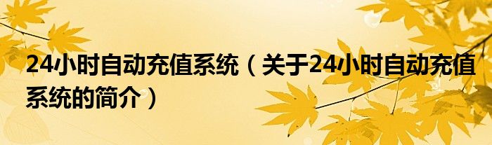 24小時(shí)自動(dòng)充值系統(tǒng)（關(guān)于24小時(shí)自動(dòng)充值系統(tǒng)的簡(jiǎn)介）