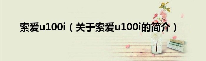 索愛u100i（關(guān)于索愛u100i的簡(jiǎn)介）