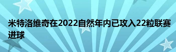 米特洛維奇在2022自然年內已攻入22粒聯賽進球