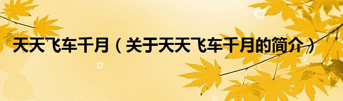 天天飛車(chē)千月（關(guān)于天天飛車(chē)千月的簡(jiǎn)介）