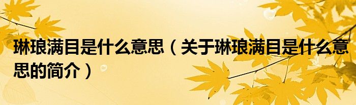 琳瑯滿目是什么意思（關(guān)于琳瑯滿目是什么意思的簡(jiǎn)介）