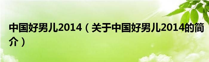 中國好男兒2014（關于中國好男兒2014的簡介）