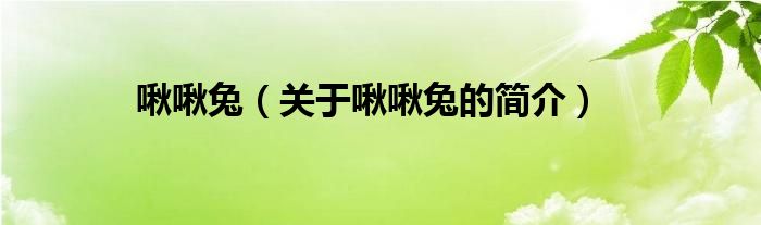 啾啾兔（關(guān)于啾啾兔的簡(jiǎn)介）