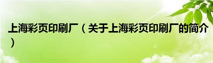 上海彩頁印刷廠（關于上海彩頁印刷廠的簡介）