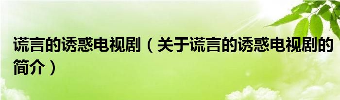 謊言的誘惑電視?。P(guān)于謊言的誘惑電視劇的簡(jiǎn)介）