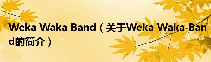 Weka Waka Band（關(guān)于Weka Waka Band的簡介）