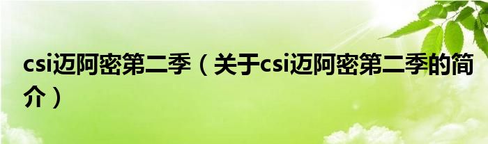 csi邁阿密第二季（關(guān)于csi邁阿密第二季的簡介）