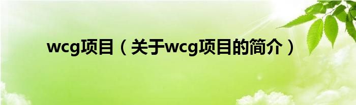 wcg項目（關(guān)于wcg項目的簡介）