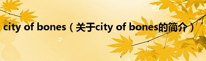 city of bones（關(guān)于city of bones的簡介）