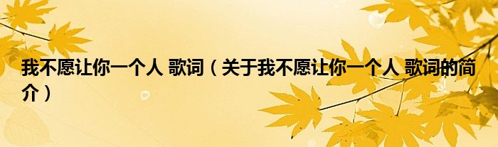 我不愿讓你一個人 歌詞（關(guān)于我不愿讓你一個人 歌詞的簡介）