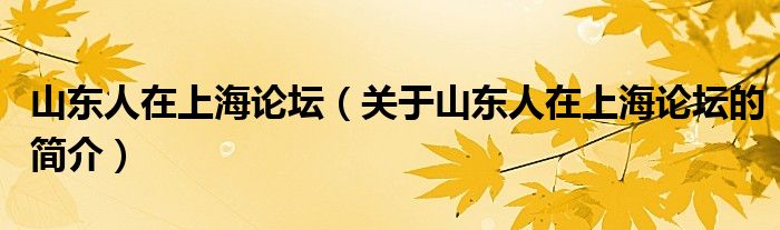 山東人在上海論壇（關于山東人在上海論壇的簡介）