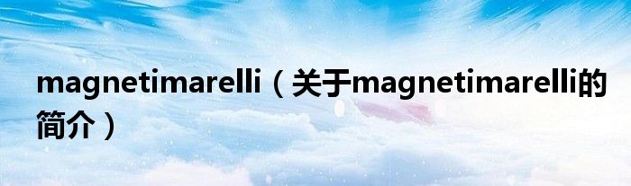 magnetimarelli（關(guān)于magnetimarelli的簡介）