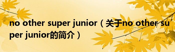 no other super junior（關(guān)于no other super junior的簡(jiǎn)介）