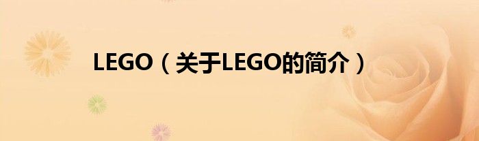 LEGO（關(guān)于LEGO的簡介）