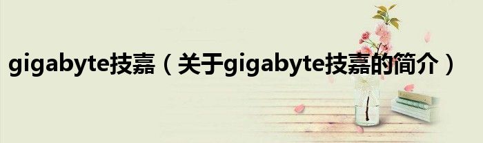 gigabyte技嘉（關(guān)于gigabyte技嘉的簡介）