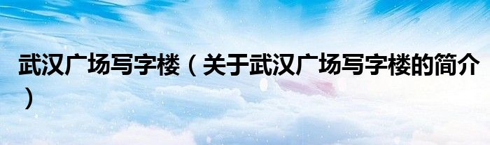 武漢廣場寫字樓（關于武漢廣場寫字樓的簡介）