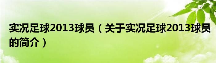 實(shí)況足球2013球員（關(guān)于實(shí)況足球2013球員的簡(jiǎn)介）