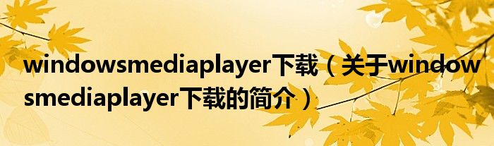 windowsmediaplayer下載（關(guān)于windowsmediaplayer下載的簡介）