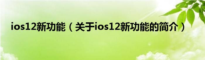 ios12新功能（關(guān)于ios12新功能的簡(jiǎn)介）