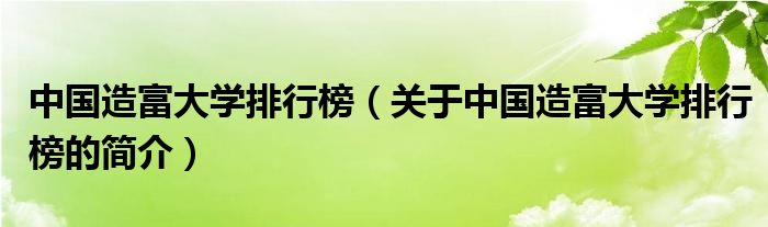 中國(guó)造富大學(xué)排行榜（關(guān)于中國(guó)造富大學(xué)排行榜的簡(jiǎn)介）