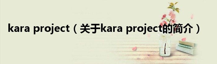 kara project（關(guān)于kara project的簡(jiǎn)介）