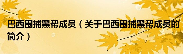 巴西圍捕黑幫成員（關(guān)于巴西圍捕黑幫成員的簡(jiǎn)介）