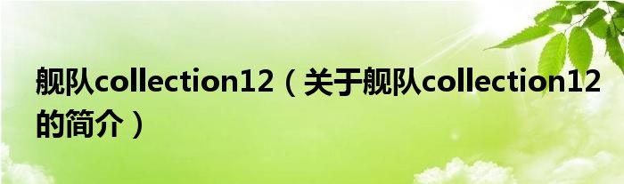 艦隊(duì)collection12（關(guān)于艦隊(duì)collection12的簡(jiǎn)介）