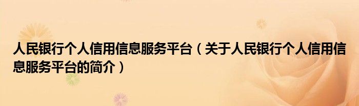 人民銀行個(gè)人信用信息服務(wù)平臺（關(guān)于人民銀行個(gè)人信用信息服務(wù)平臺的簡介）