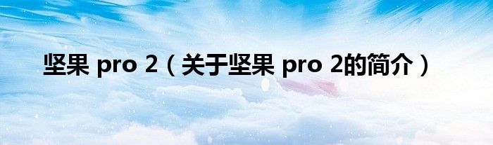 堅(jiān)果 pro 2（關(guān)于堅(jiān)果 pro 2的簡(jiǎn)介）