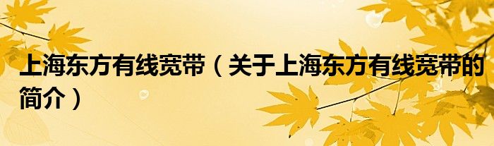 上海東方有線寬帶（關(guān)于上海東方有線寬帶的簡介）