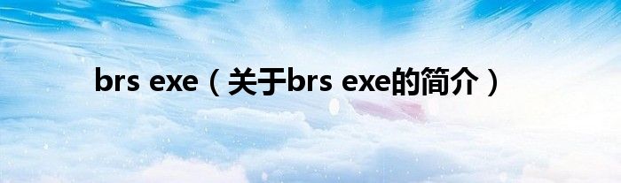 brs exe（關于brs exe的簡介）